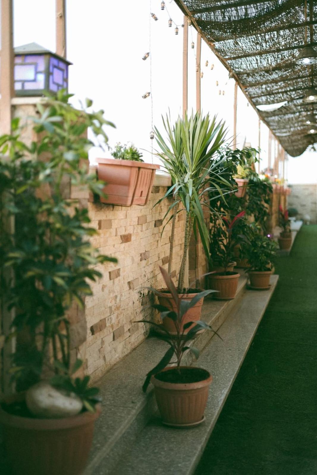 Royal Pyramids Palace Residence カイロ エクステリア 写真
